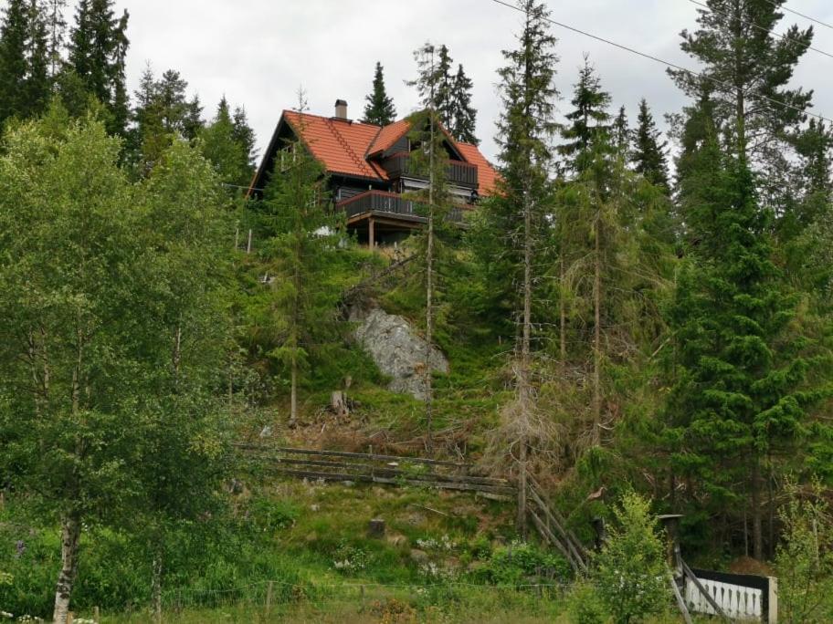 Casa San Gottardo - The Forest House, Etnedal Esterno foto